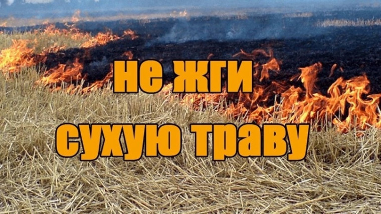 Бережём природу вместе!.